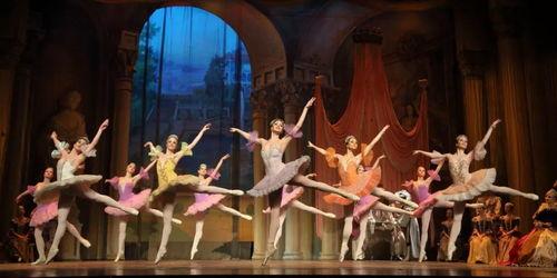 胡桃夹子时装爆料视频,揭秘时尚界的奇幻之旅  第1张